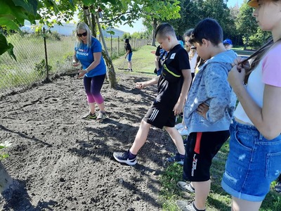 Gmina Stryków wśród kwietnych trawników