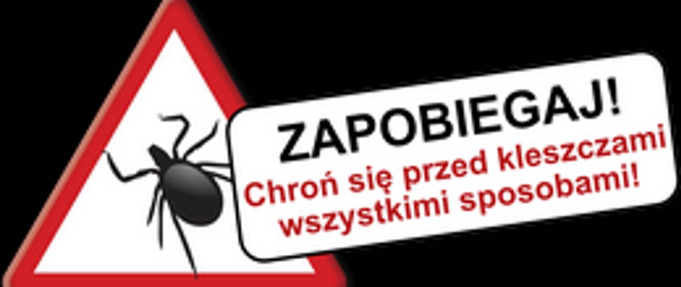 Tutaj powinien być opis obrazka