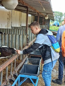 Rolniczy Zakład Doświadczalny w Werbkowicach