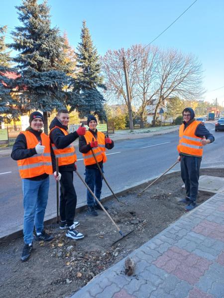 Sadzenie cebulek kwiatów