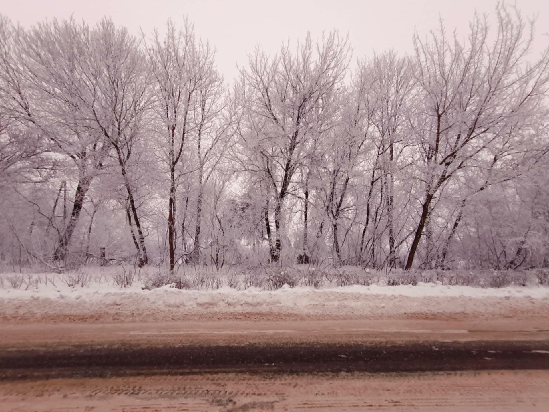 Tutaj powinien być opis obrazka