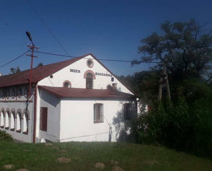 Zdjęcie
