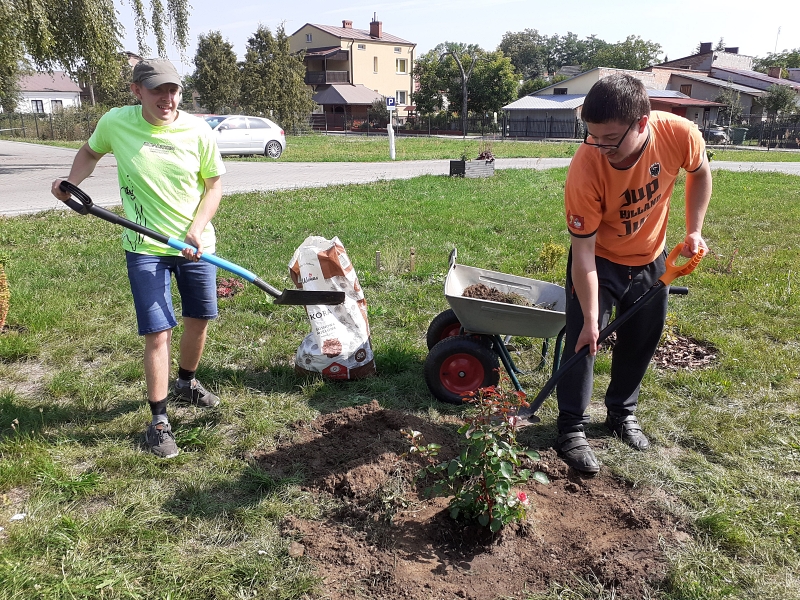 Na zdjęciu chłopcy Marcin i Arek sadzą krzewy róż przed szkołą [800x600]