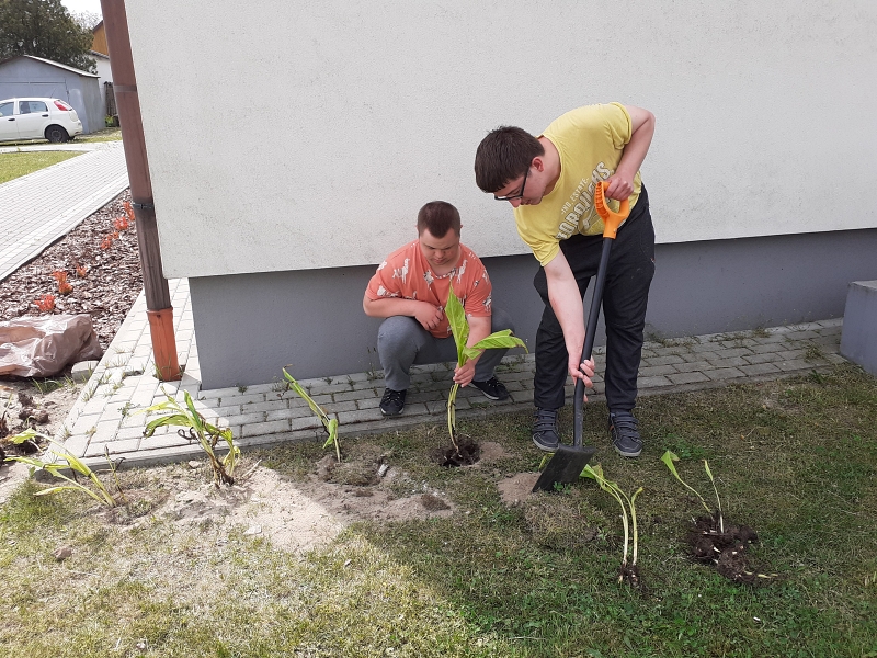 Na zdjęciu Dominik i Arek sadzą rośliny ozdobne przed szkołą [800x600]