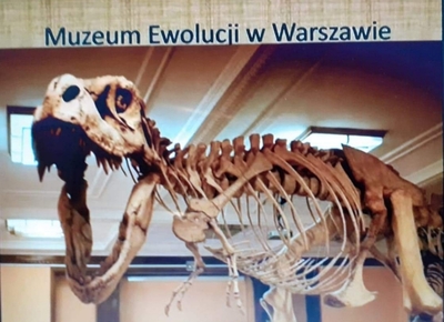 Muzeum Ewolucji w Warszawie