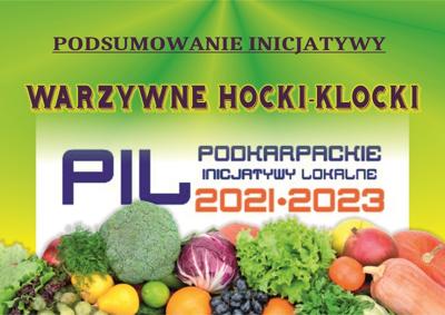 Podsumowanie projektu Warzywne hocki klocki