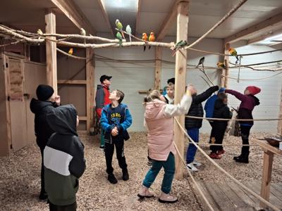 Warsztaty arteterapii i wyjazdy integracyjne w ramach projektu „Bliżej siebie – przełamujemy bariery. Edycja II”.