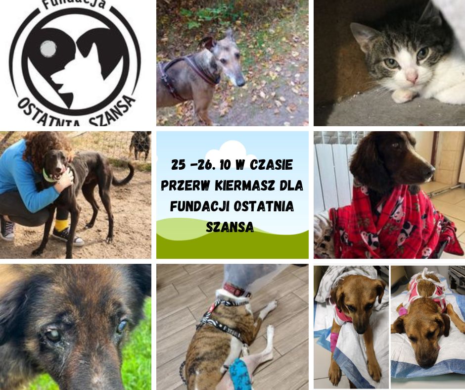 Tutaj powinien być opis obrazka