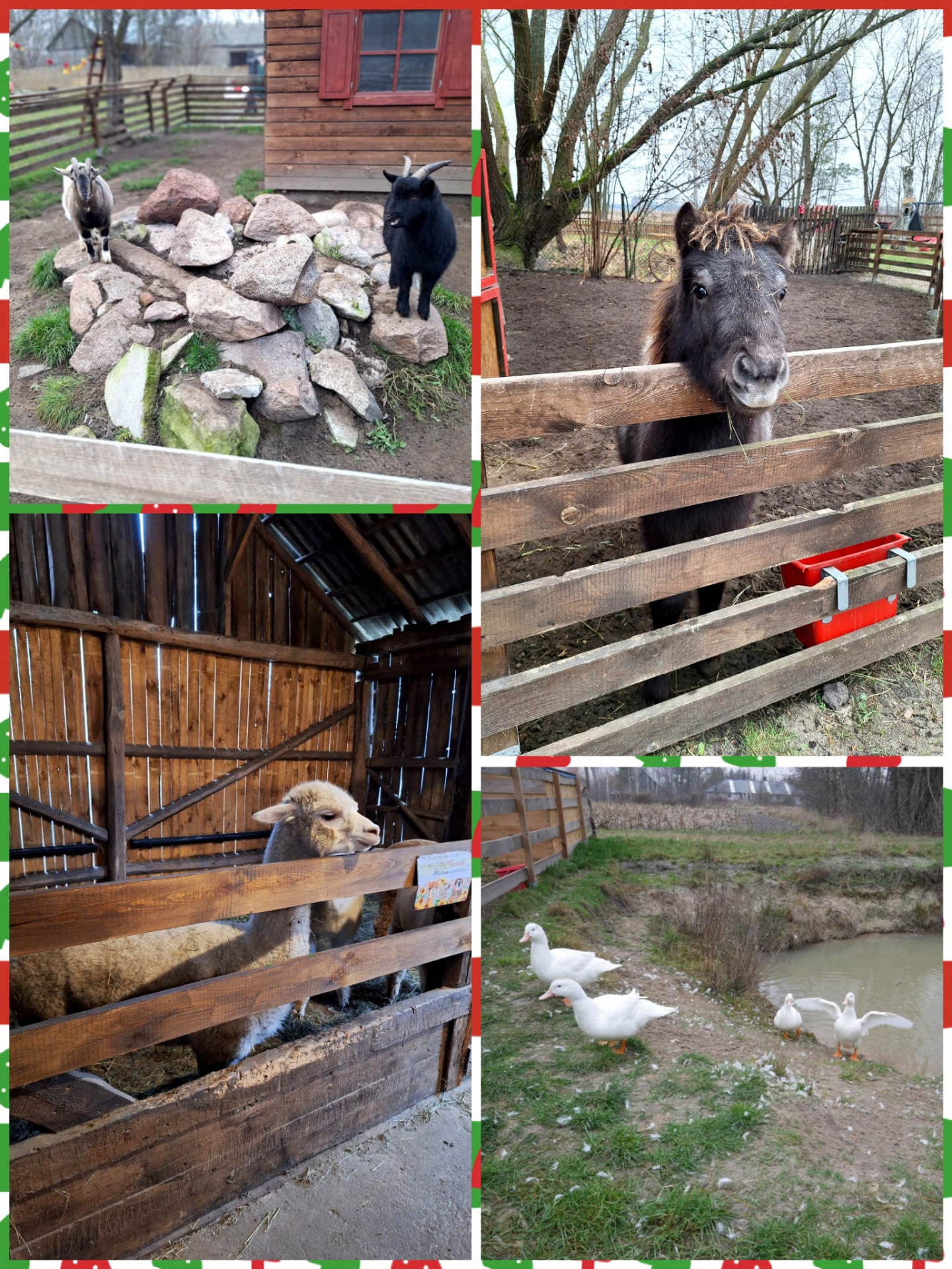 Tutaj powinien być opis obrazka