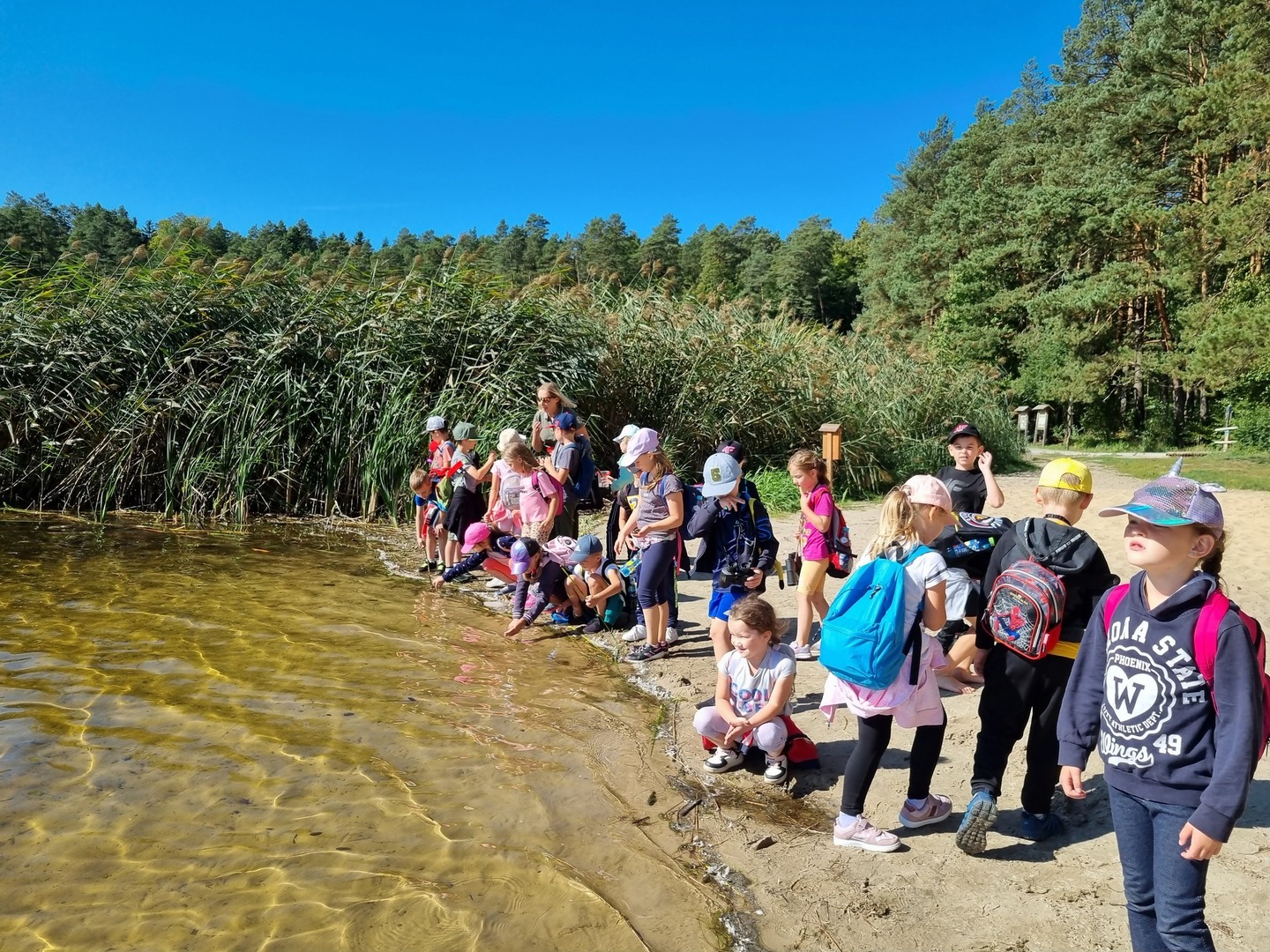Tutaj powinien być opis