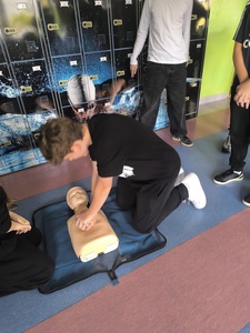 1000011329.jpg[small]