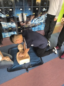 1000011331.jpg[small]