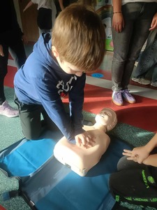 1000012268.jpg[small]