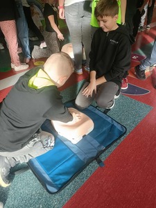 1000012277.jpg[small]