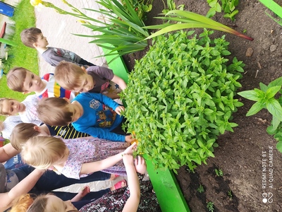 Robimy pyszną lemoniadę