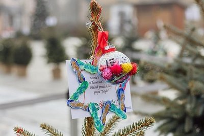 Przystrojona choinka przez grupę Jeżyków