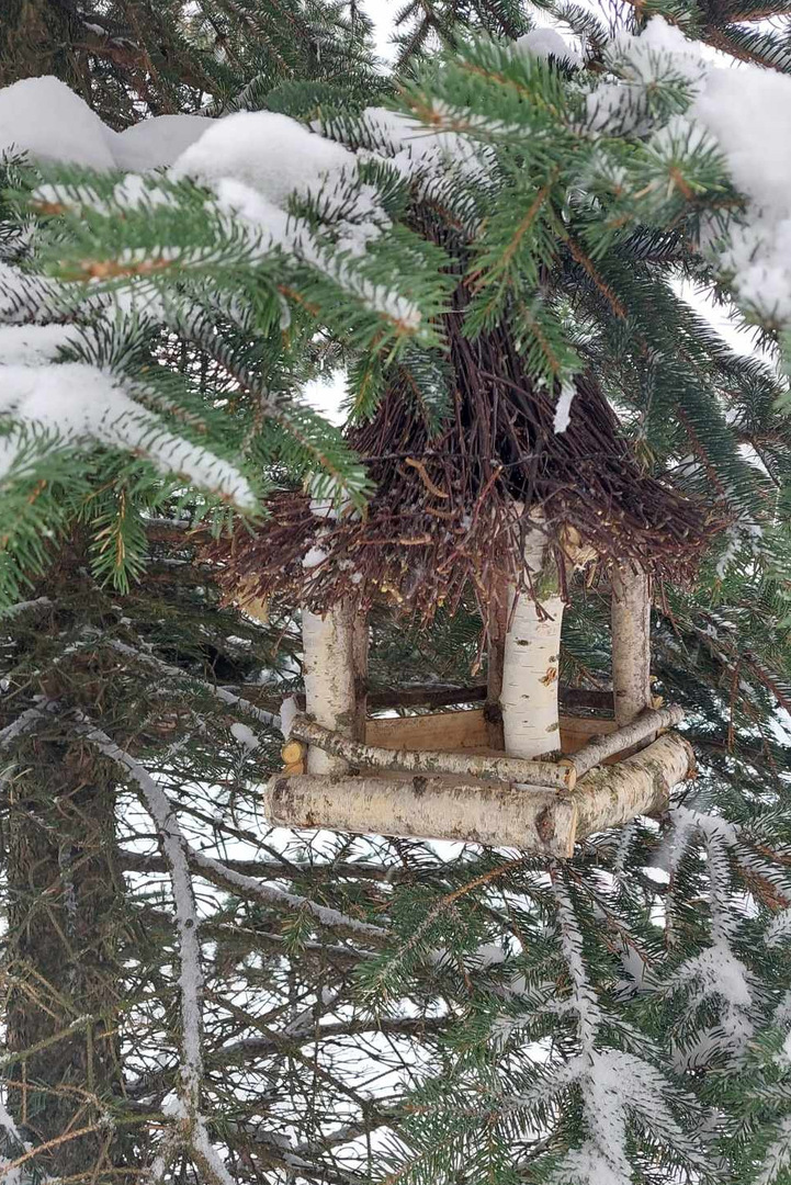 Karmnik na drzewie