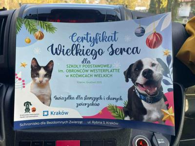Certyfikat Wielkiego Serca 