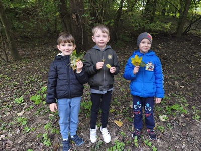 7bb1b0b8e70c40c3b031612cce2fcfd6.jpeg[small]