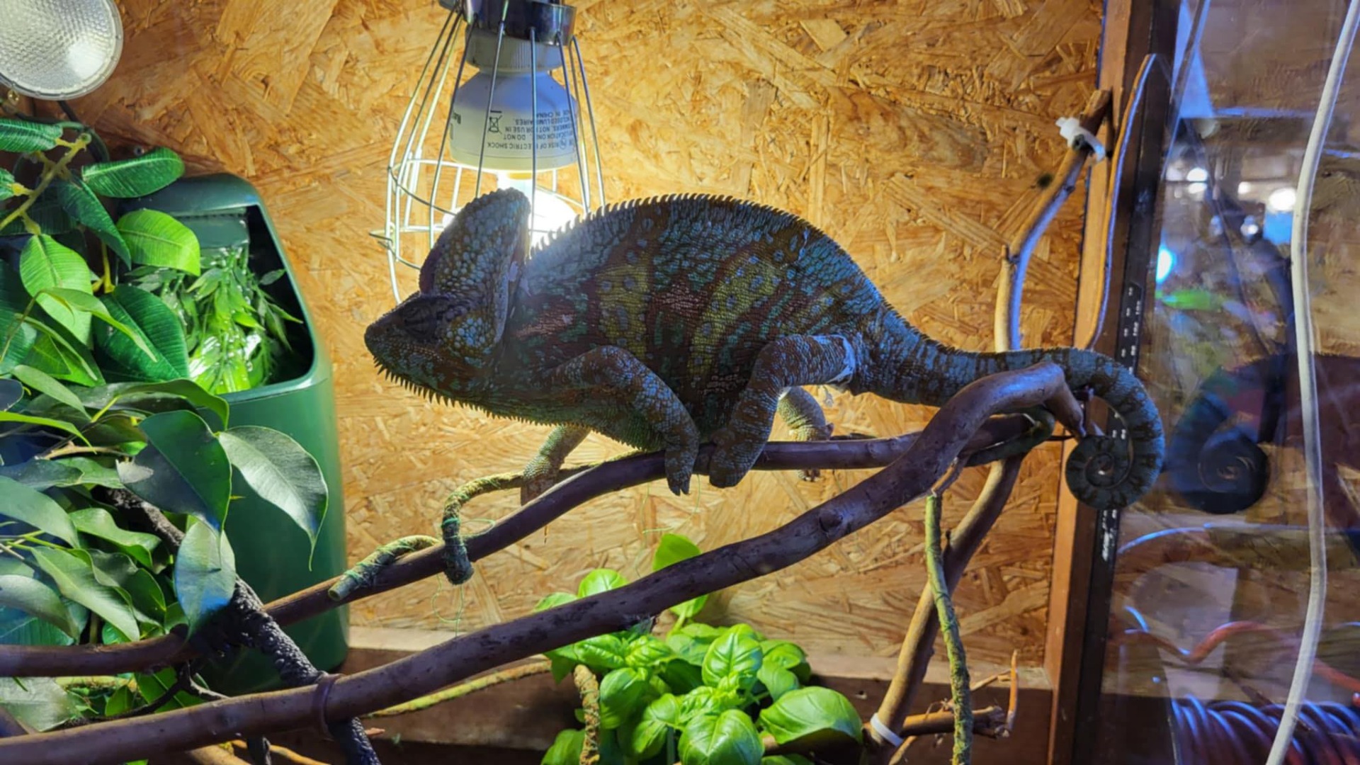 Tutaj powinien być opis obrazka