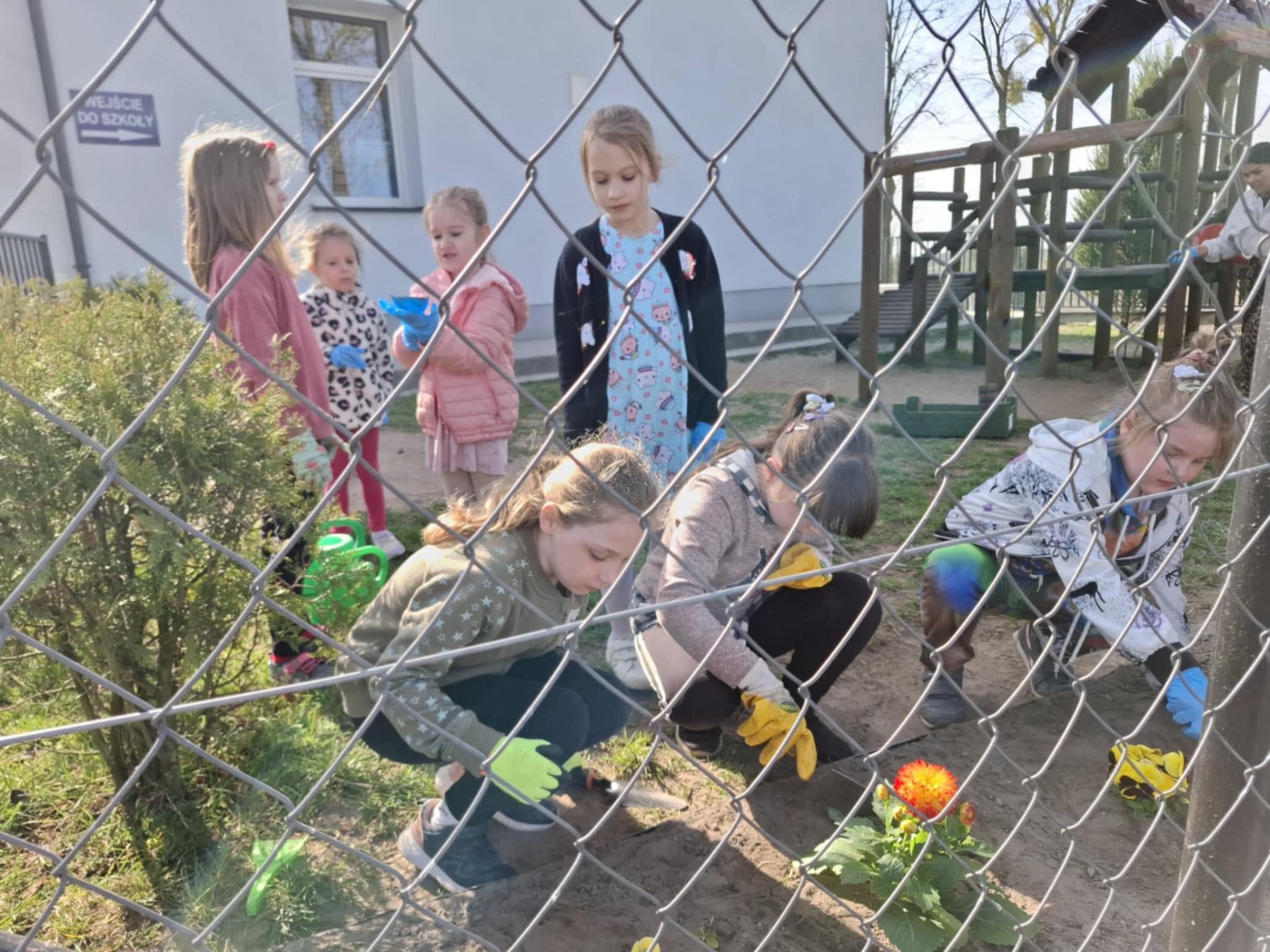 Tutaj powinien być opis obrazka