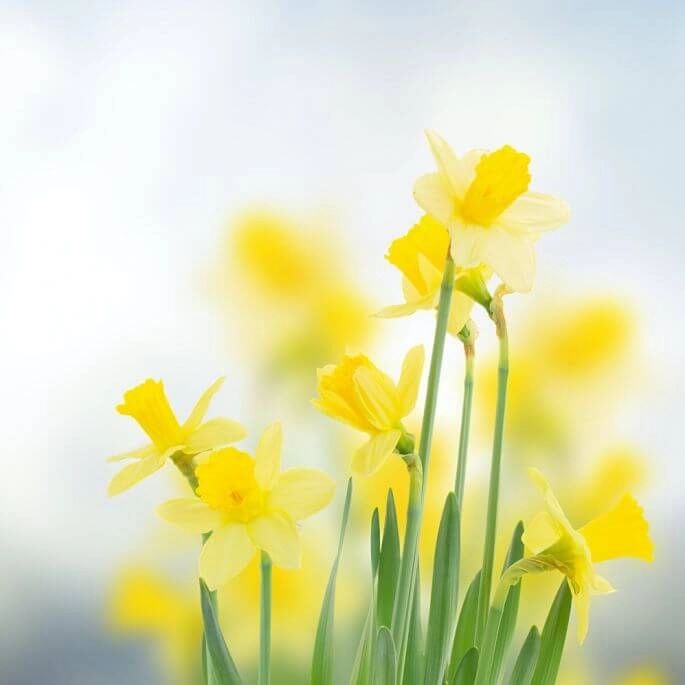 Tutaj powinien być opis obrazka