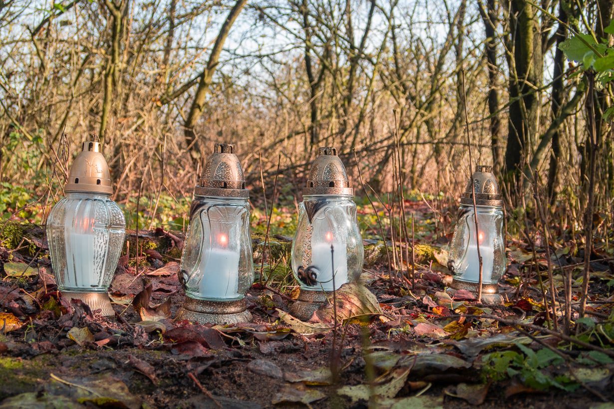 Tutaj powinien być opis obrazka