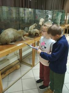 Dzieci obserwują eksponaty w muzeum i wypełniają kartę pracy.