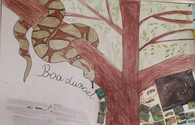 plakat o wężu