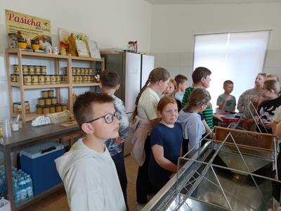 Dzieci słuchają opowieści o pszczołach