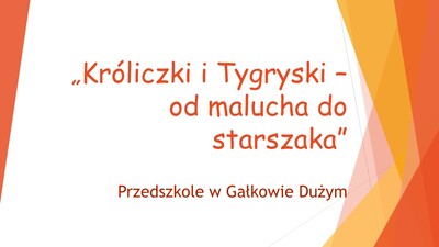 Strona tytułowa filmiku "Króliczki i Tygryski - od malucha do starszaka"
