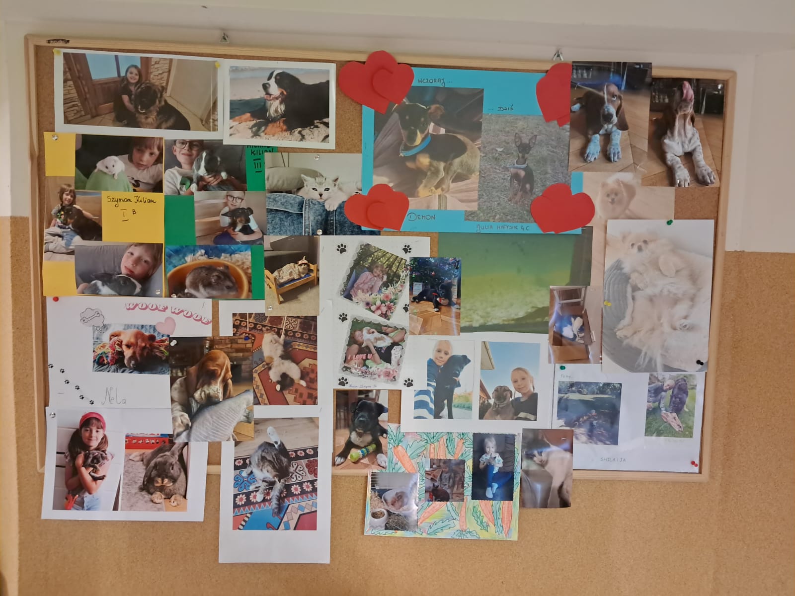 Tablica ze zdjęciami