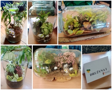 konkurs ekologiczny