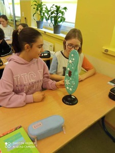 Uczniowie klas 5 podczas lekcji biologii. Na ławce stoi model protista. 