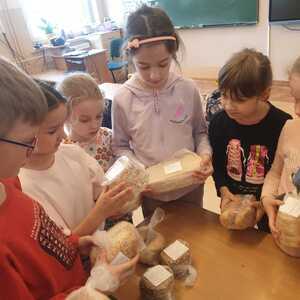 Uczniowie oglądają różne rodzaje pieczywa. 