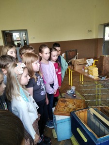 Spotkanie z pszczelarzem