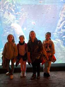 „Mkną po szynach niebieskie tramwaje przez wrocławskich ulic sto ….”