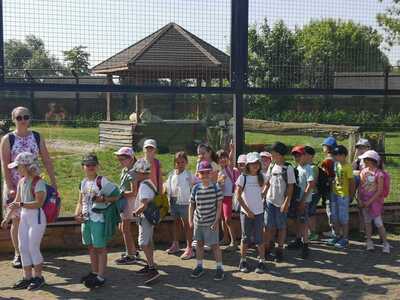 Zdjęcie grupowe  pierwszaków wraz ze swoja panią.