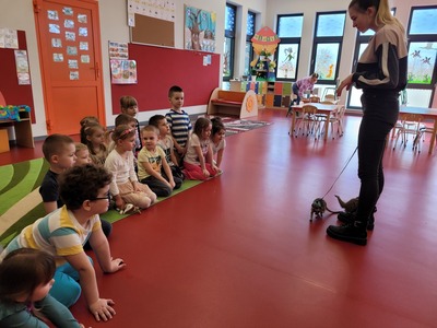 dzieci siedzą na dywanie i patrzą na siedząca przed nimi surykatkę 