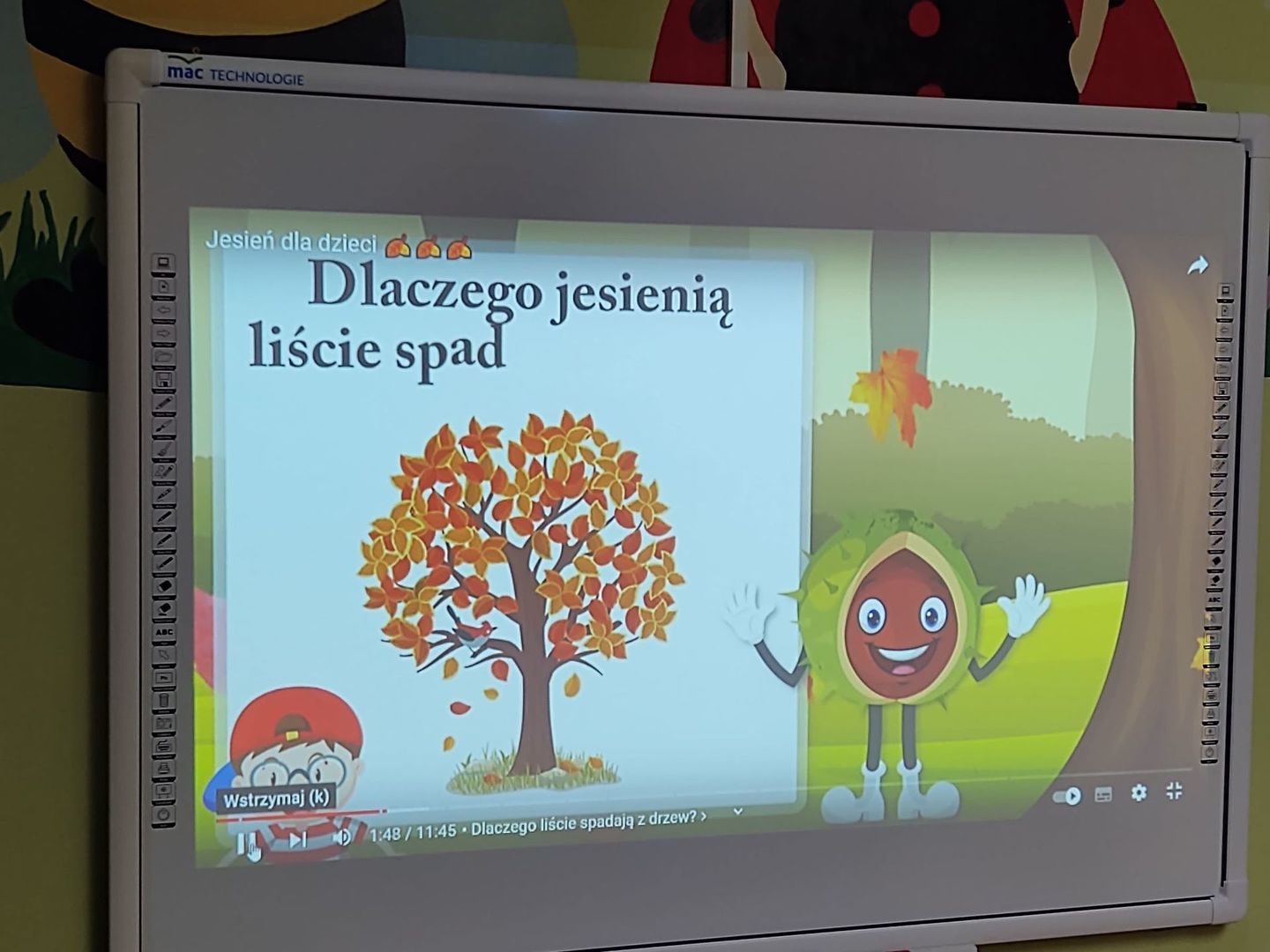 Tablica multimedialna z ilustracją jesiennego drzewa.