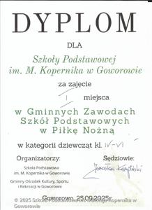 Sukcesy sportowe uczniów 2025/2026