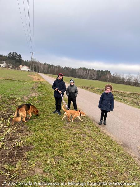 Zbiórka karmy dla bezdomnych zwierząt ze schroniska CANIS w Kruszewie
