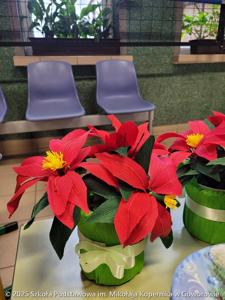 Kiermasz Bożonarodzeniowy