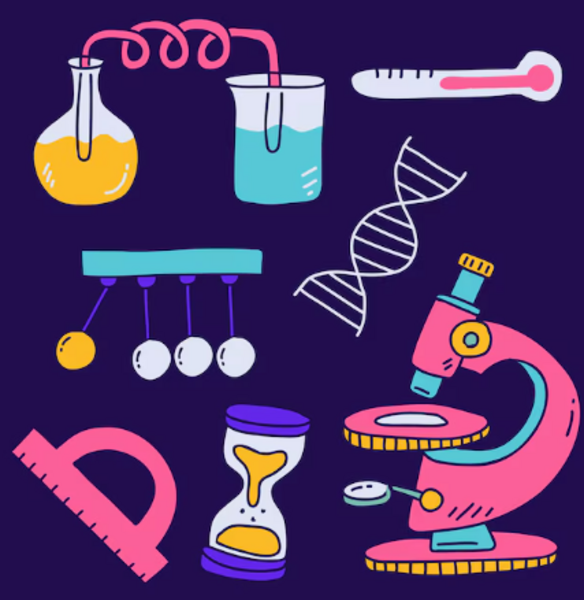 Zdjęcie Agnieszka Idzikowska