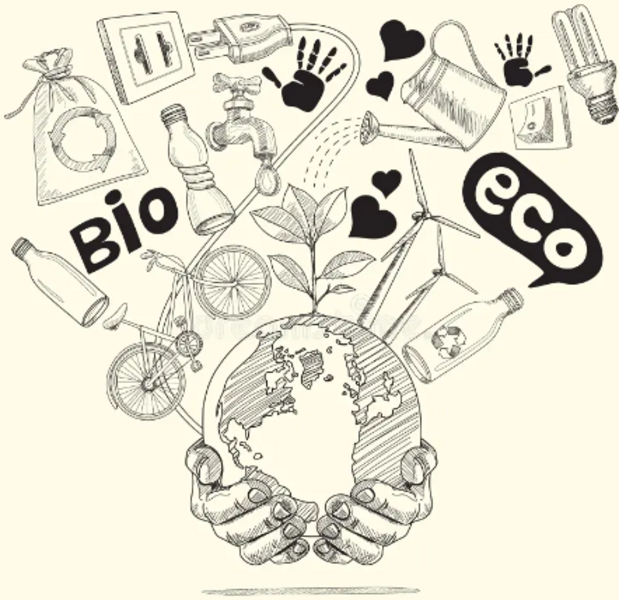 Zdjęcie Ilona Jagusiak