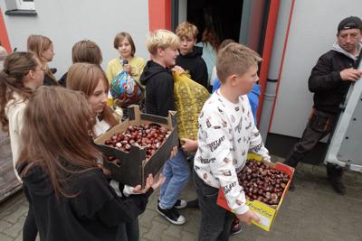 Wolontariusze w akcji.