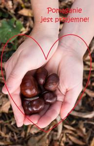 Pomaganie jest przyjemne.