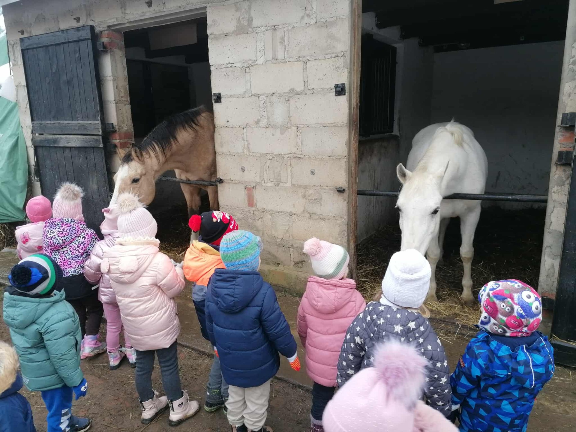 Tutaj powinien być opis obrazka