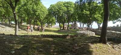zajecia_terenowe_1.jpg[small]