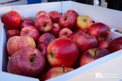 Szkoła w dniu 70-lecia